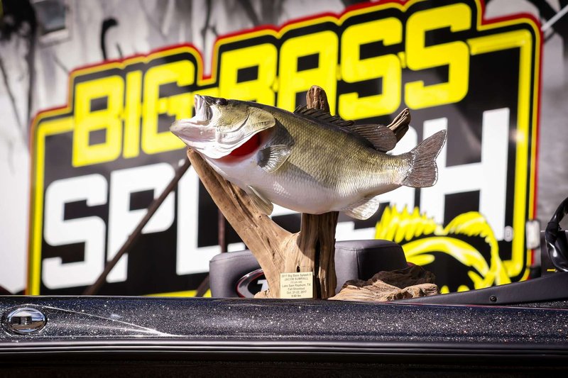 A look at pragmatic play big bass splash